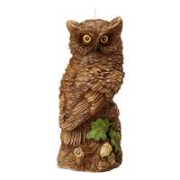 Read A&AY VENTURE LIMITED Reviews